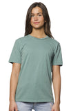 T-Shirts Vintage Pigment Dyed 2-Pack 5151PD Made in USA Color Group 2