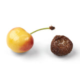 Sale: 2-Pack of 5.4oz Rainier Cherries Made in USA